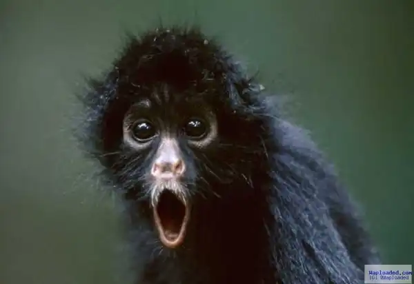 "My Wife Denied Me Sex & I Applied ‘Love Charm’ On My Manhood To Win Her Back"